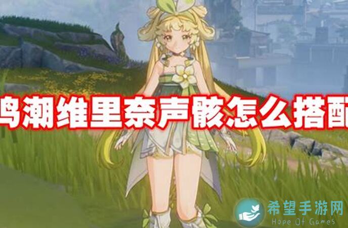 新人快速上手！鸣潮鸣潮维里奈PLUS！守岸人养成全攻略包你秒懂！