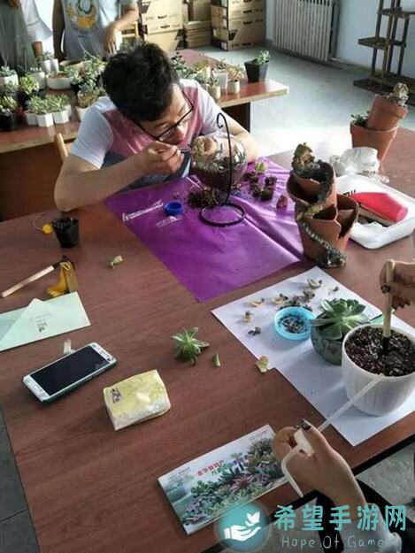 梦想家园花艺师：月见草稀有花色合成全攻略
