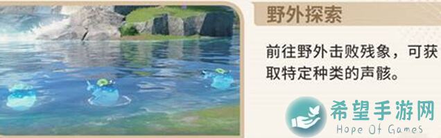 鸣潮声骸揭秘！全面解析声骸系统，助你轻松升级战力