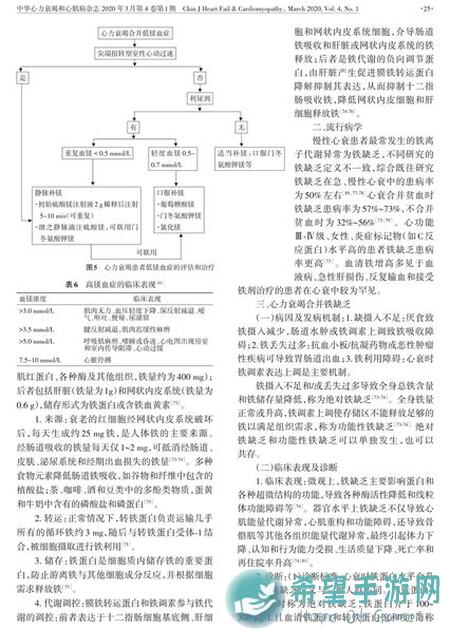 锚点降临1.9版本医疗篇图解析：图中坚阵容终极攻略