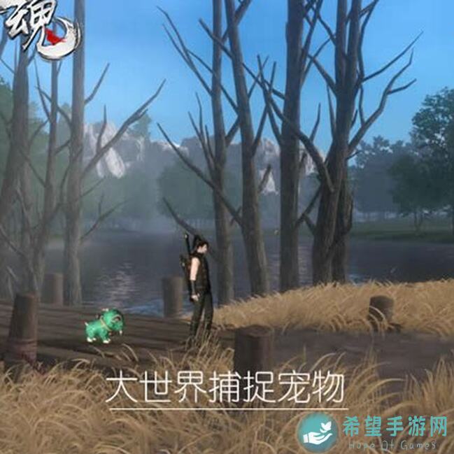 魂之追梦：生活小能手技能全攻略，轻松驾驭养成 secrets揭晓！