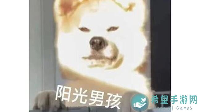 乱世逐鹿小氪的正确氪法全攻略