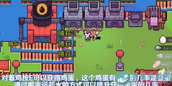 浮岛冒险防水功勋怎么拿？新手必看注意事项全解析