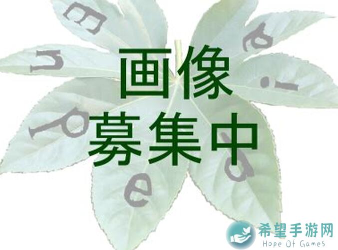 三国战纪2神剑如何养成？新手玩家必看攻略分享