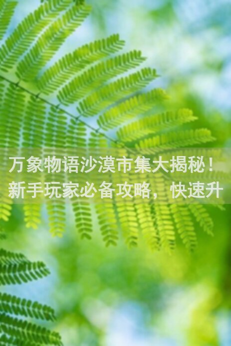万象物语沙漠市集大揭秘！新手玩家必备攻略，快速升级不再是梦！